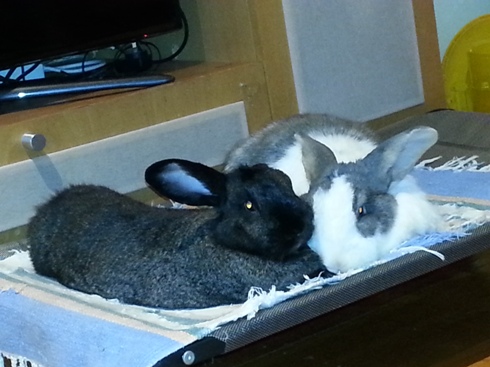The late Wilma &hearts; and Walter &hearts;